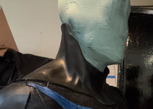 Load image into Gallery viewer, Vigilante Neck and Mask