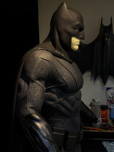 The Bat Vigilante (Full package)