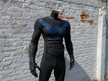 Load image into Gallery viewer, Blue bird. What if ? Outer skin
