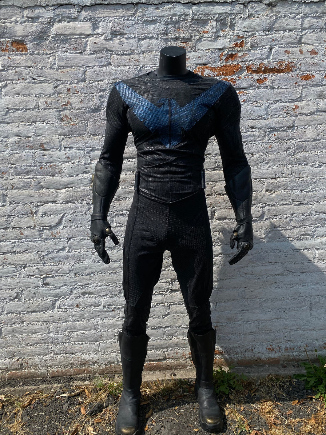 Blue bird. What if ? Outer skin